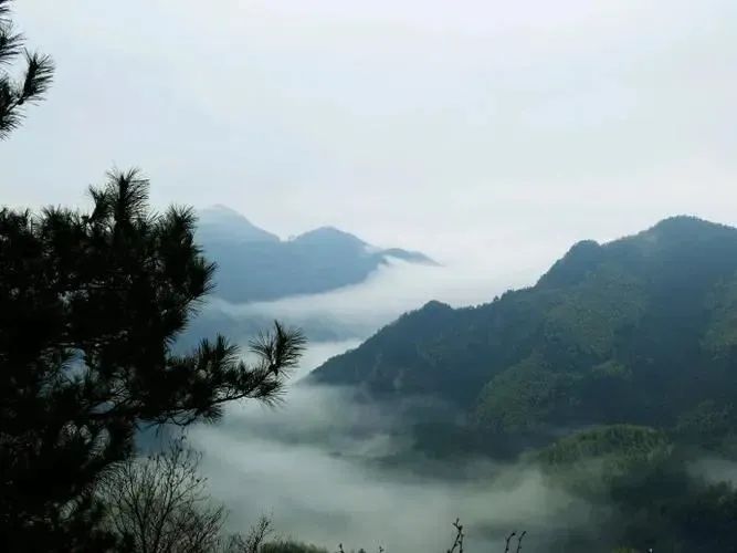 湖北ok138cn太阳集团529绿色能源有限公司