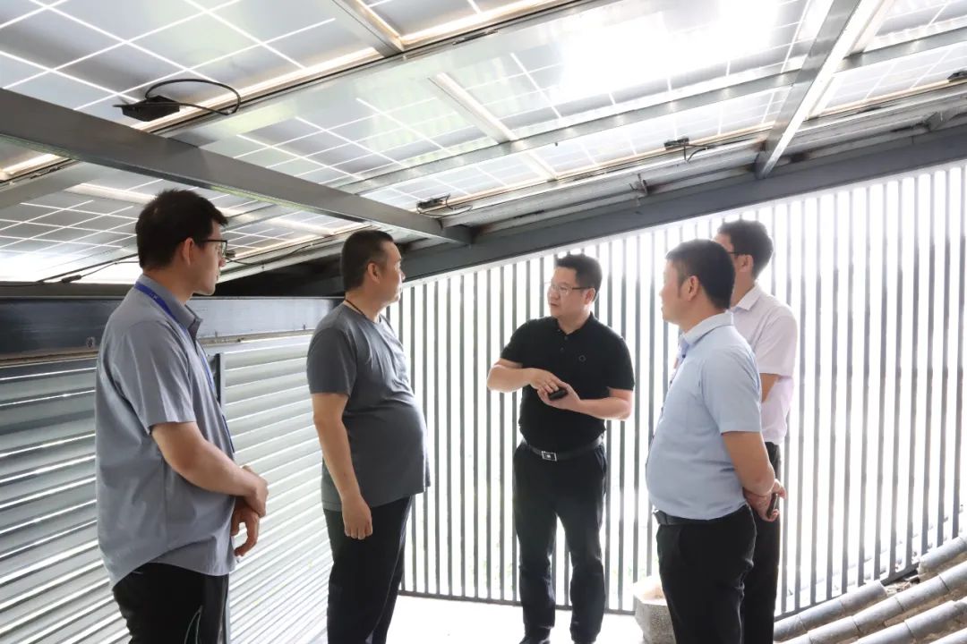 湖北ok138cn太阳集团529绿色能源有限公司